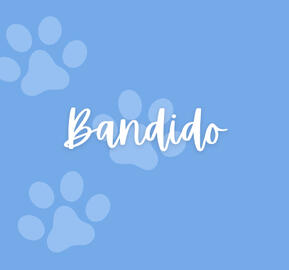 Rifa para Bandido