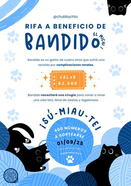 Raffle Poster (Spanish)