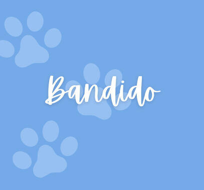 Rifa para Bandido